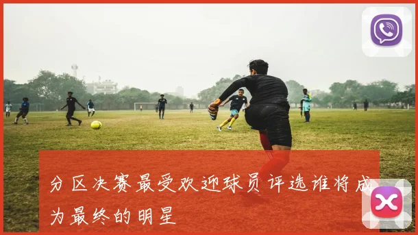 分区决赛最受欢迎球员评选谁将成为最终的明星
