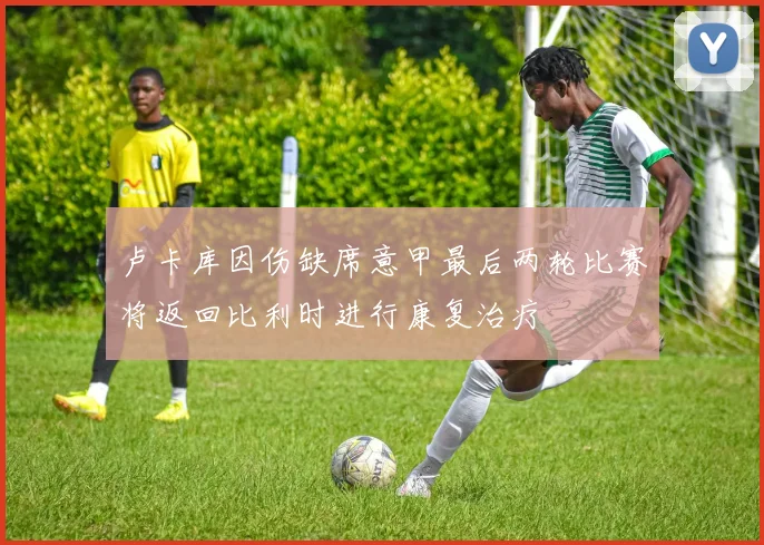 卢卡库因伤缺席意甲最后两轮比赛将返回比利时进行康复治疗