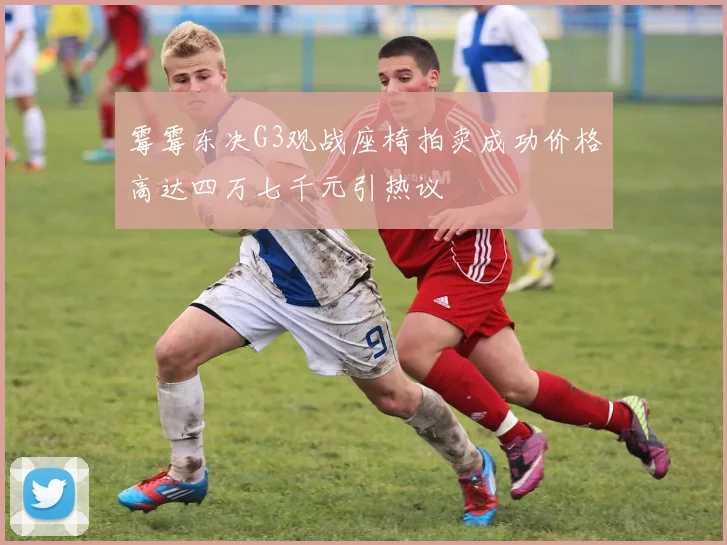 霉霉东决G3观战座椅拍卖成功价格高达四万七千元引热议