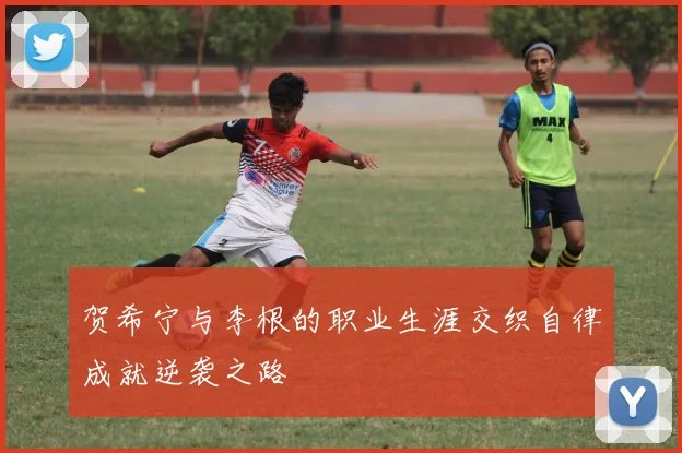 贺希宁与李根的职业生涯交织自律成就逆袭之路